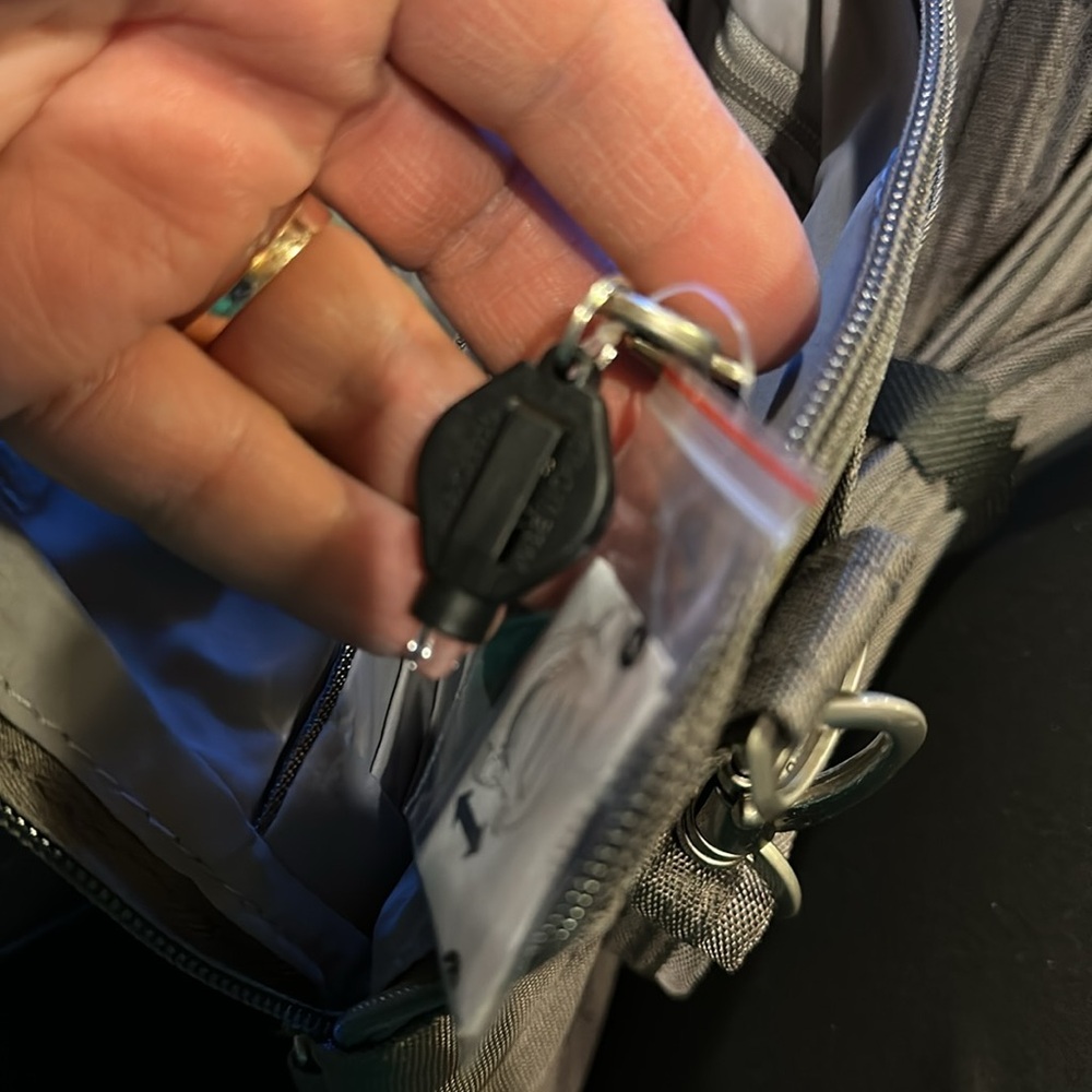 Travelon Anti Theft Bag New with Tag - Picture 6 of 12